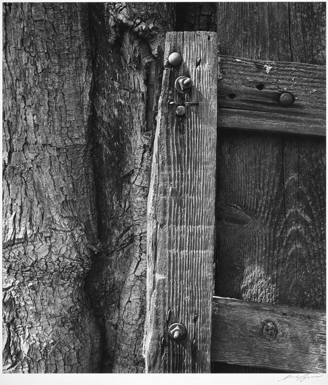 Old Gate Detail