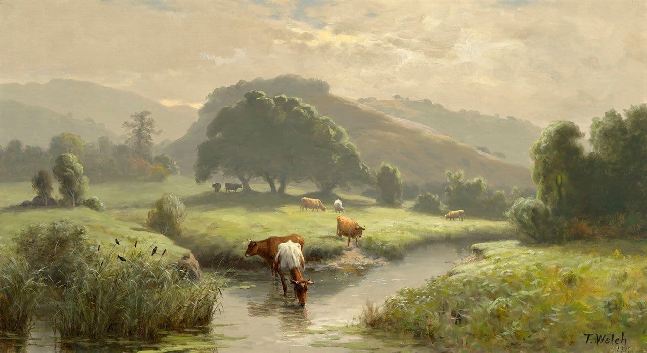 Cattle Watering, Marin County