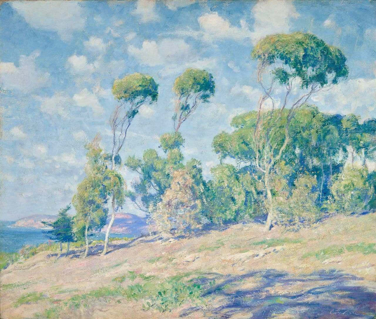 Laguna Trees