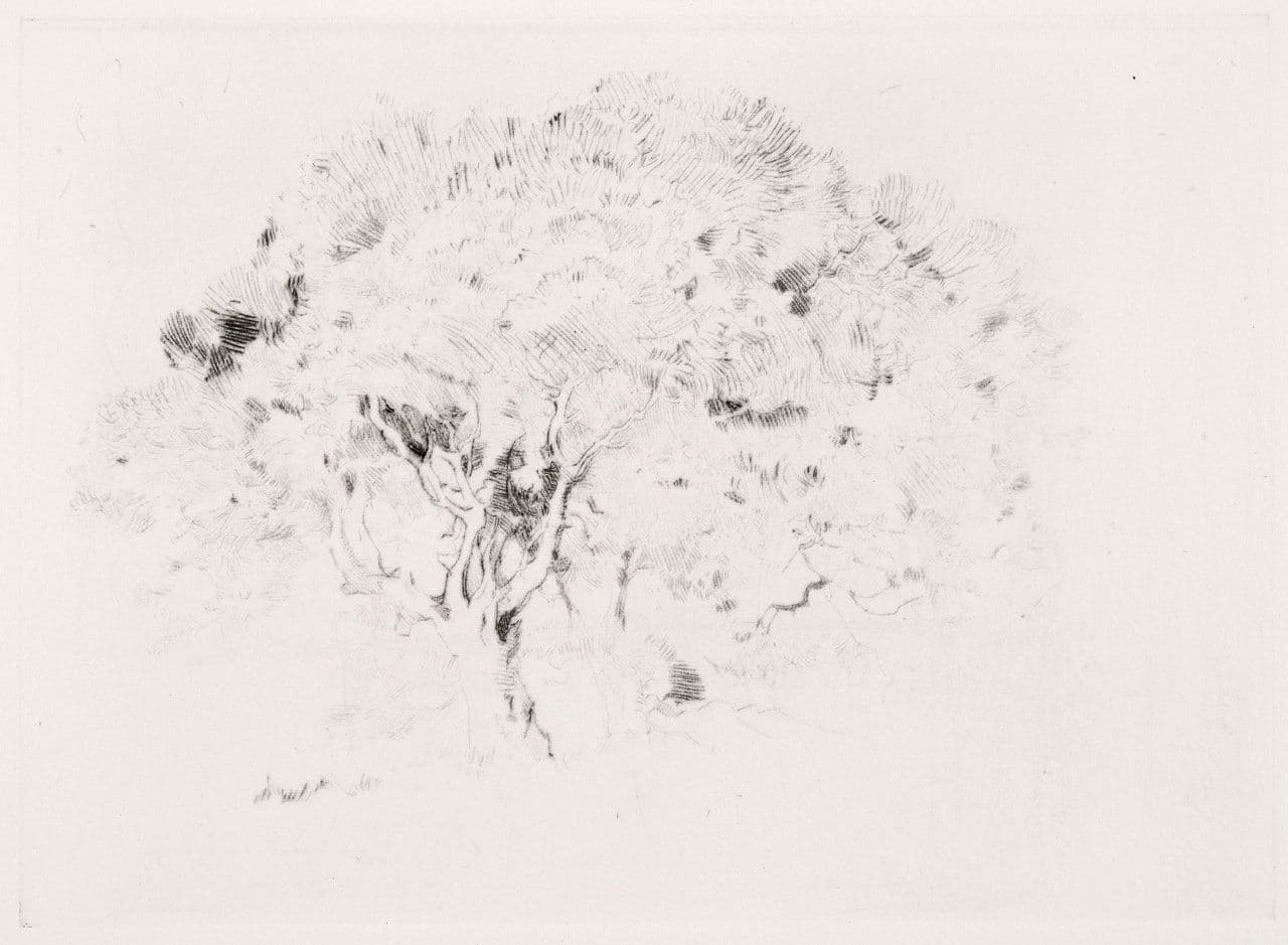 A Study of Trees
Percy  Gray 19th Century,20th Century
1980.27.b