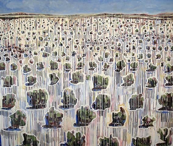 Desert Metamorphosis