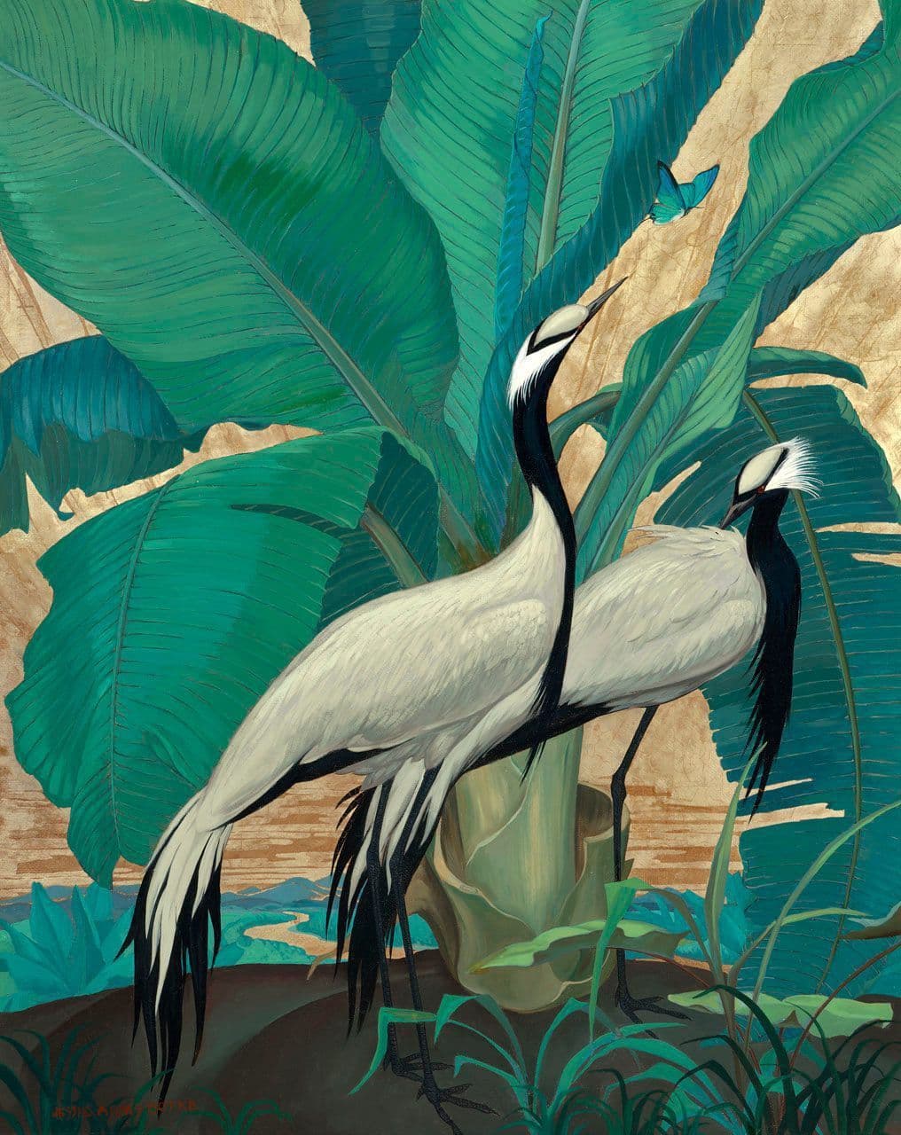Demoiselle Cranes