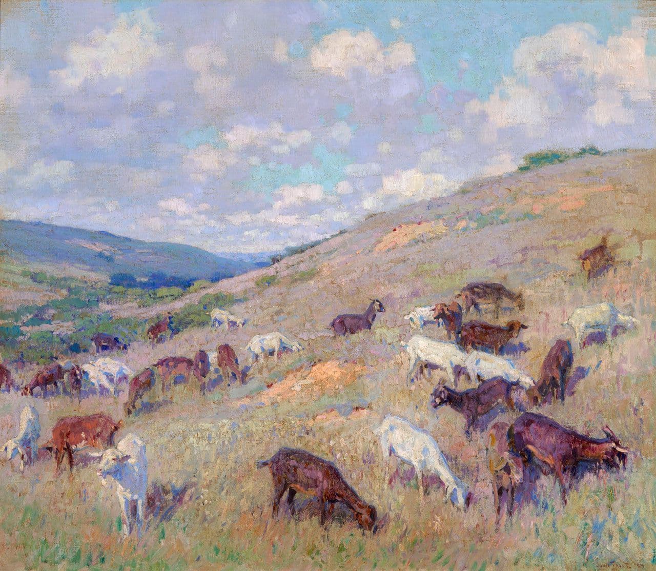 Goats on a Hillside, Pomona