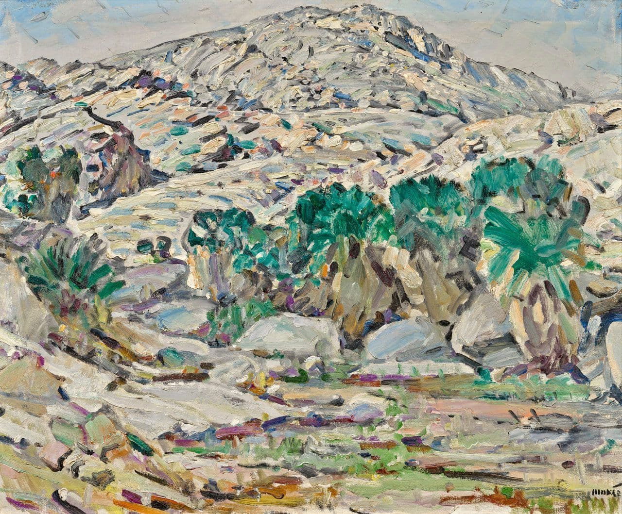 Palm Canyon