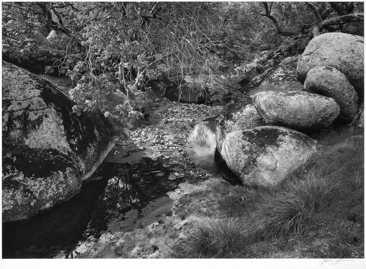 Rocks, Leaves, Pool