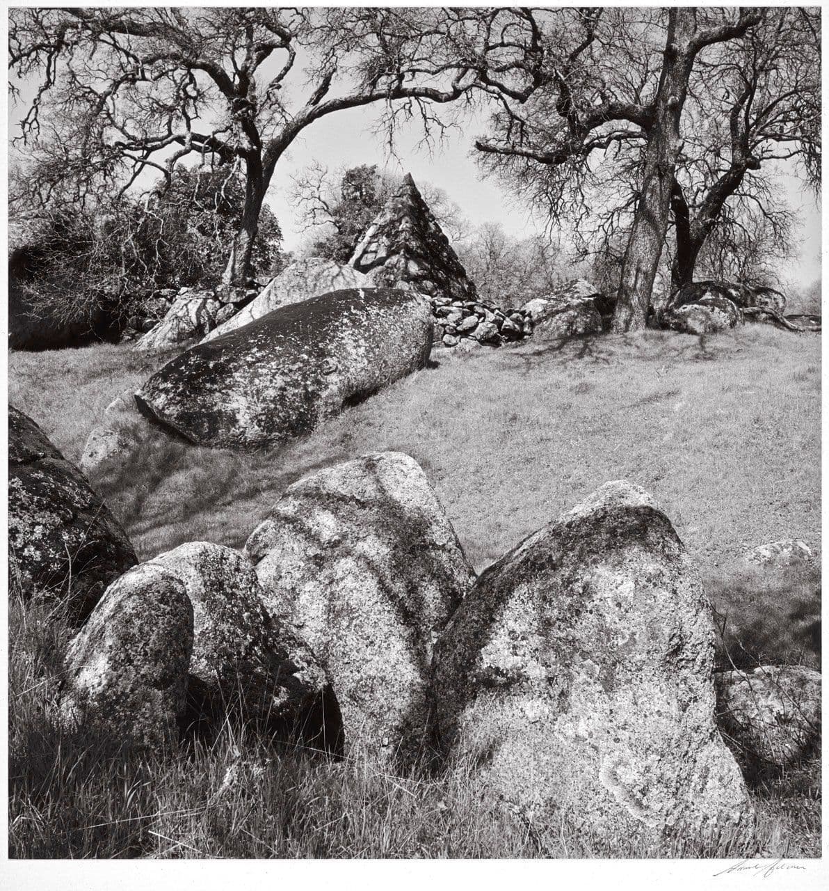 Whitney Tomb