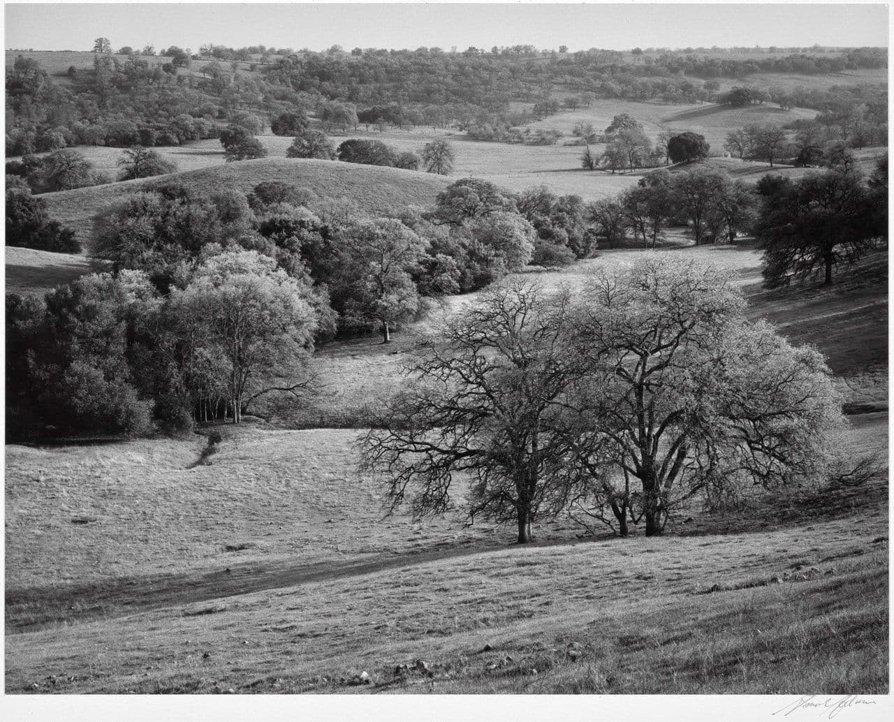 Shallow Valley