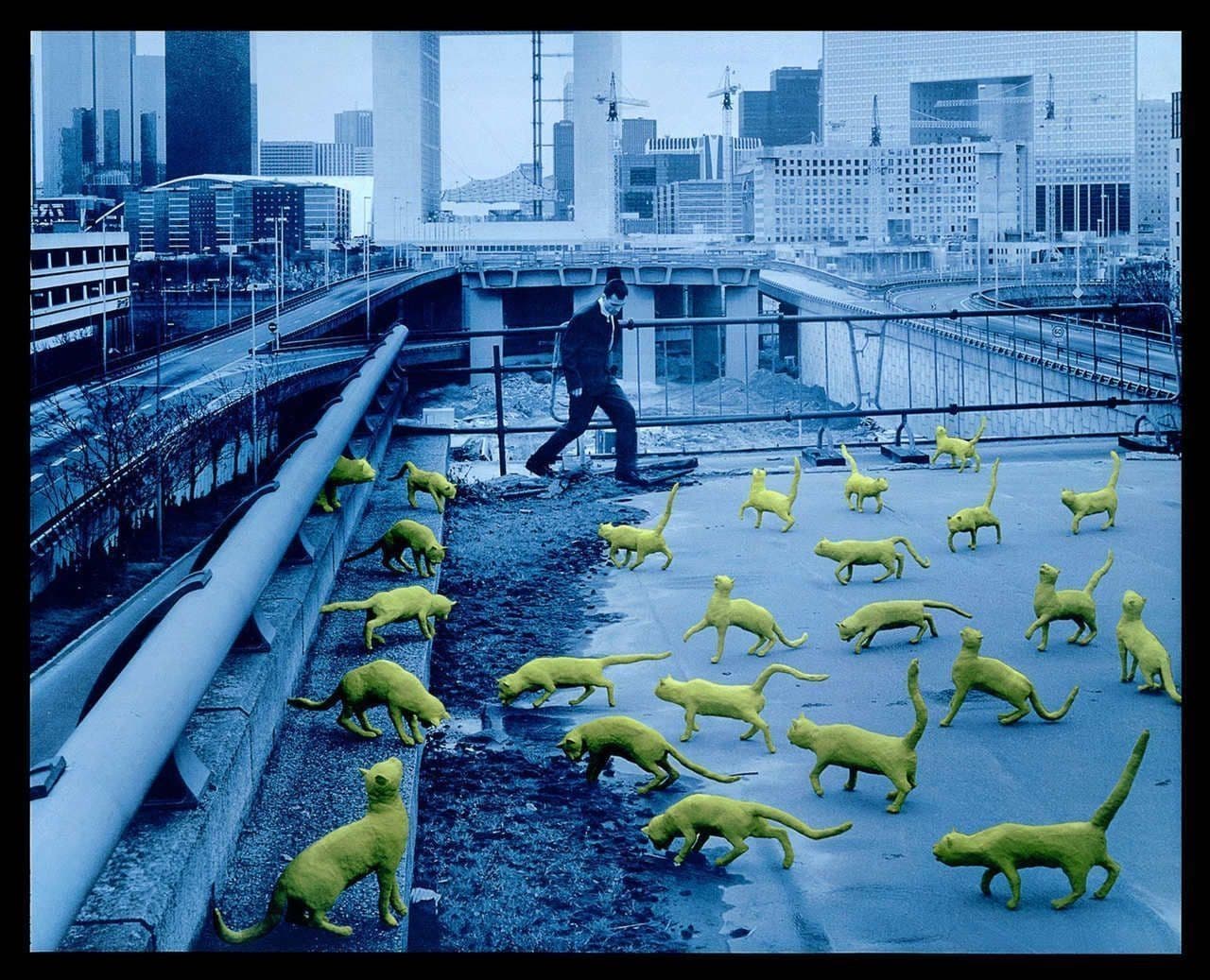 Cats in Paris