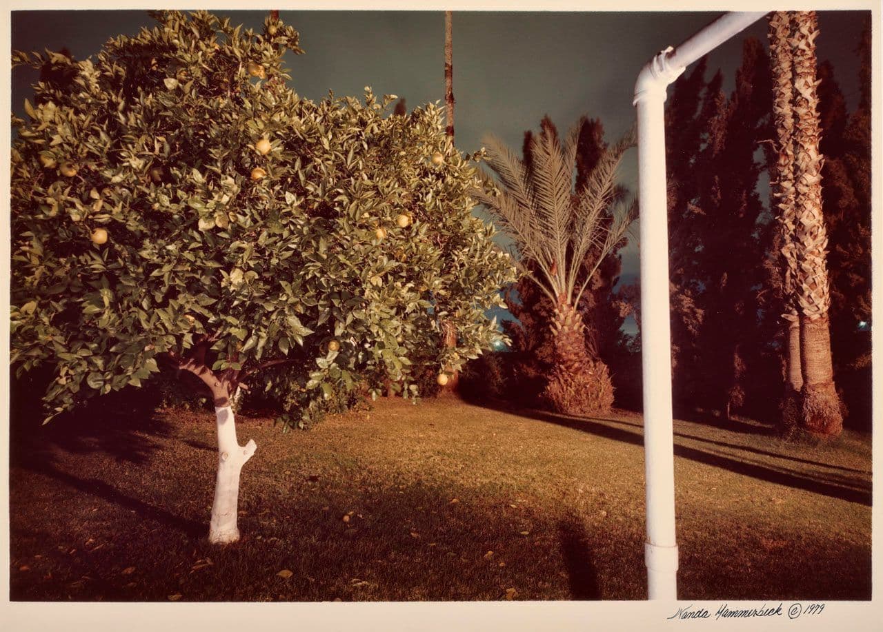 Untitled, from the New California Views portfolio