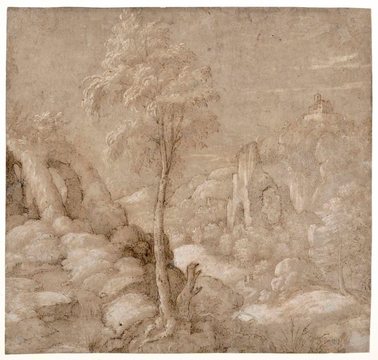 A Rocky Landscape with Trees