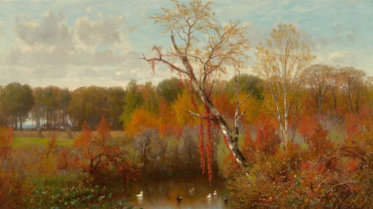Ducks on a Pond