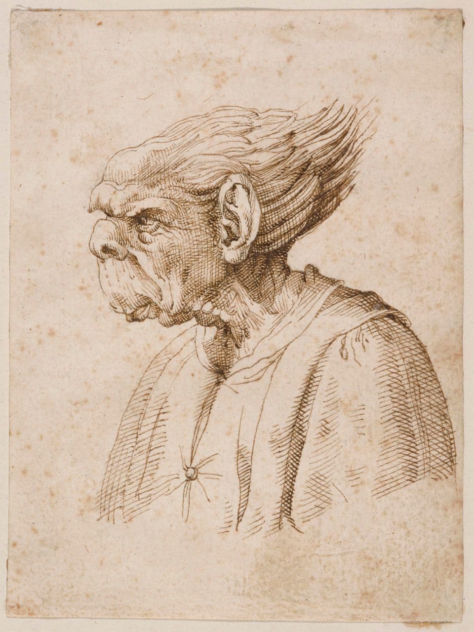 Man with Parrot Face