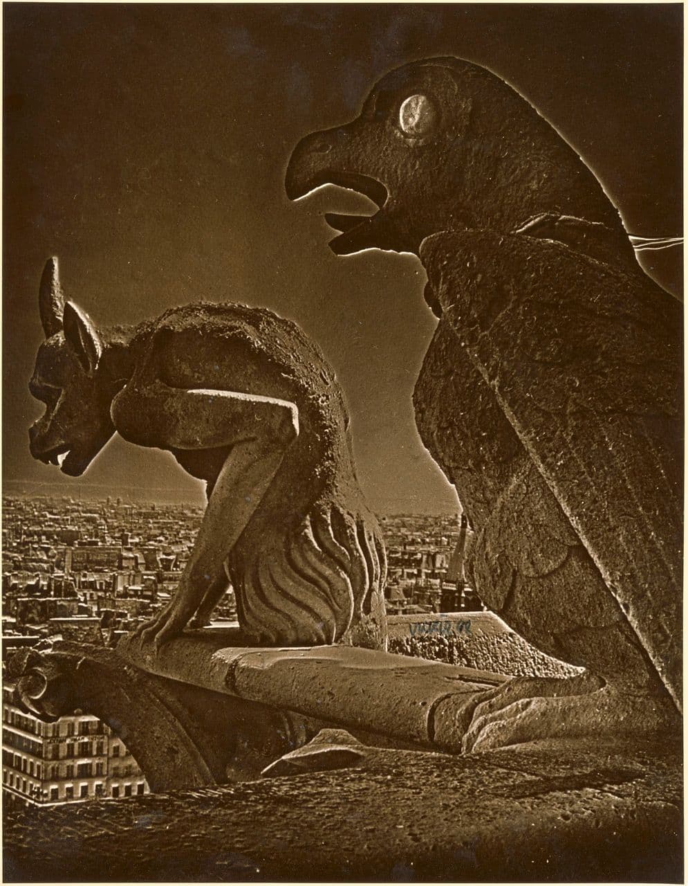 Gargoyles, Notre Dame, Paris