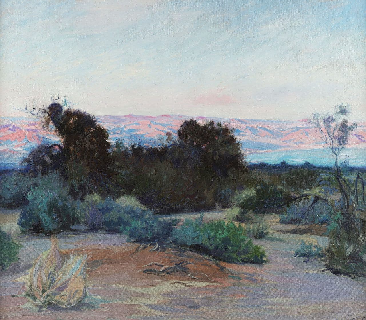 Mojave Desert