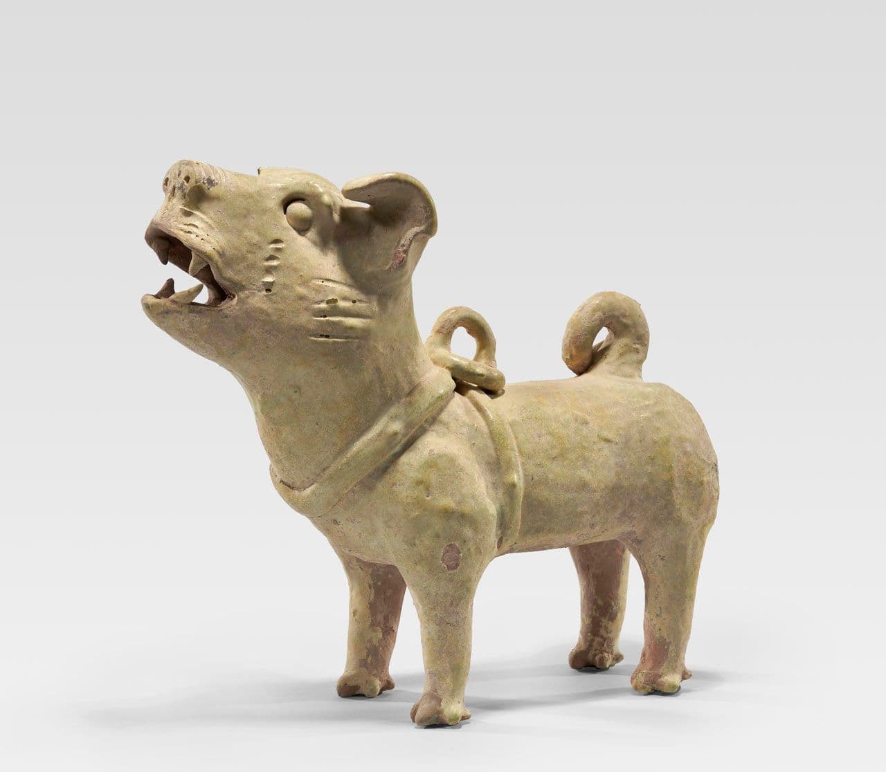 Standing Dog