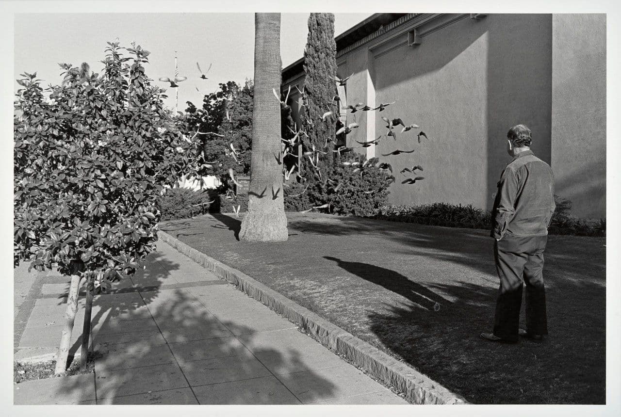 Untitled, from the New California Views portfolio