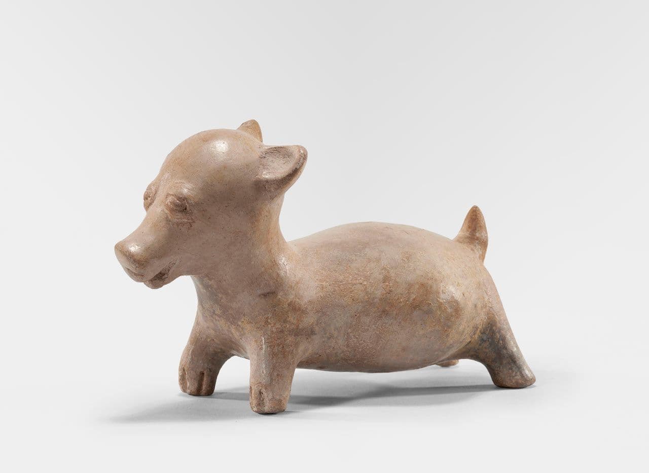 Dog
Jalisco, Mexico (3rd century BCE–3rd century CE) 3rd Century BCE,2nd Century BCE,1st Century BCE,1st Century,2nd Century,3rd Century
2021.75.17