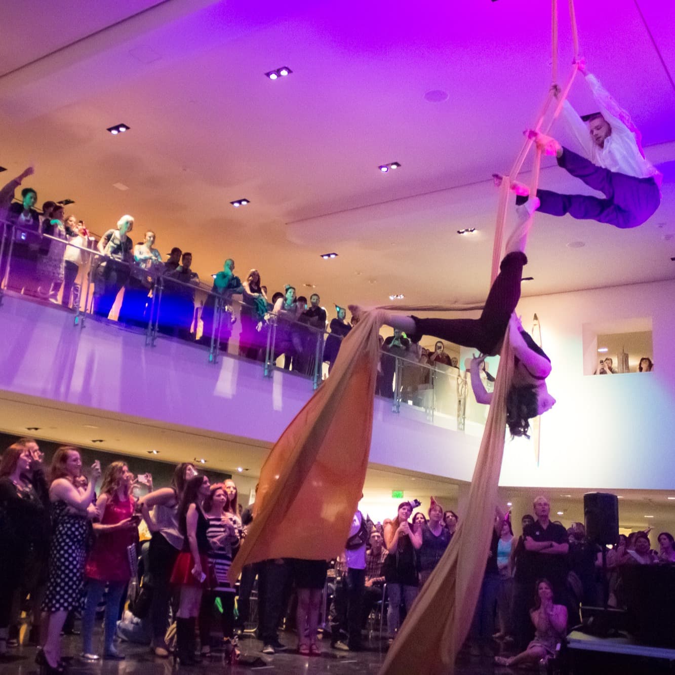 Aerialist dancers in Friedman Court