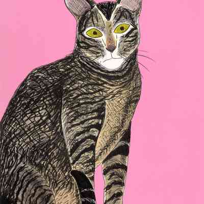 Portrait of Donald