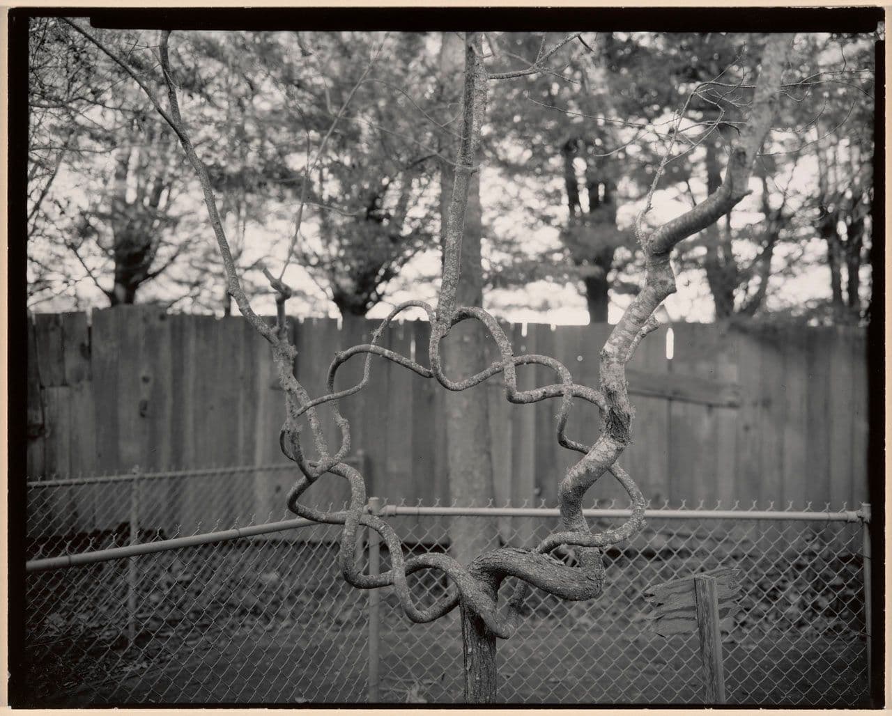 Untitled, from the New California Views portfolio
Linda Connor
20th Century
2015.90.2 Untitled, from the New California Views portfolio