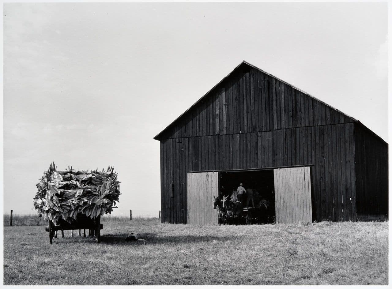 Air-cured tabacco barn, Lexington, Kentucky
Marion Post Wolcott
20th Century
2017.19.7 Air-cured tabacco barn, Lexington, Kentucky