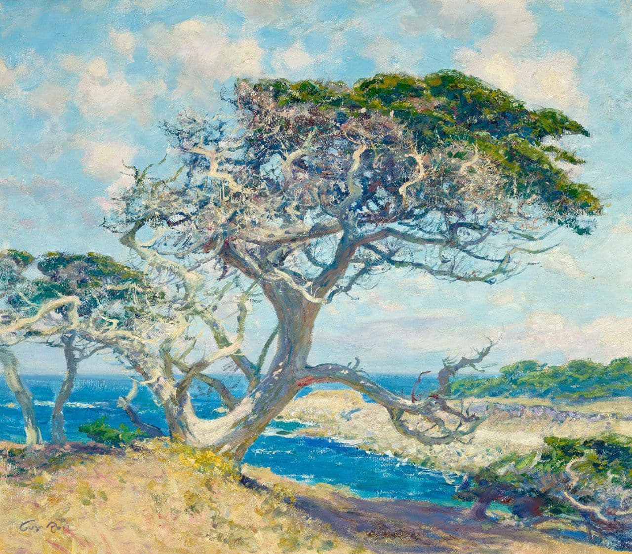 Monterey Cypress
Guy Rose
20th Century
2017.52.2 Monterey Cypress