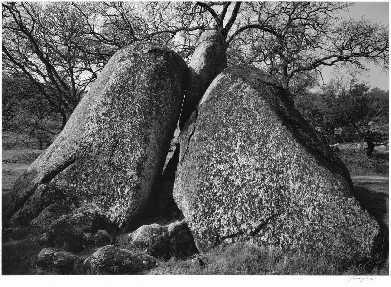 Rocks and Trees
Ansel Adams
20th Century
1963.11.8 Rocks and Trees