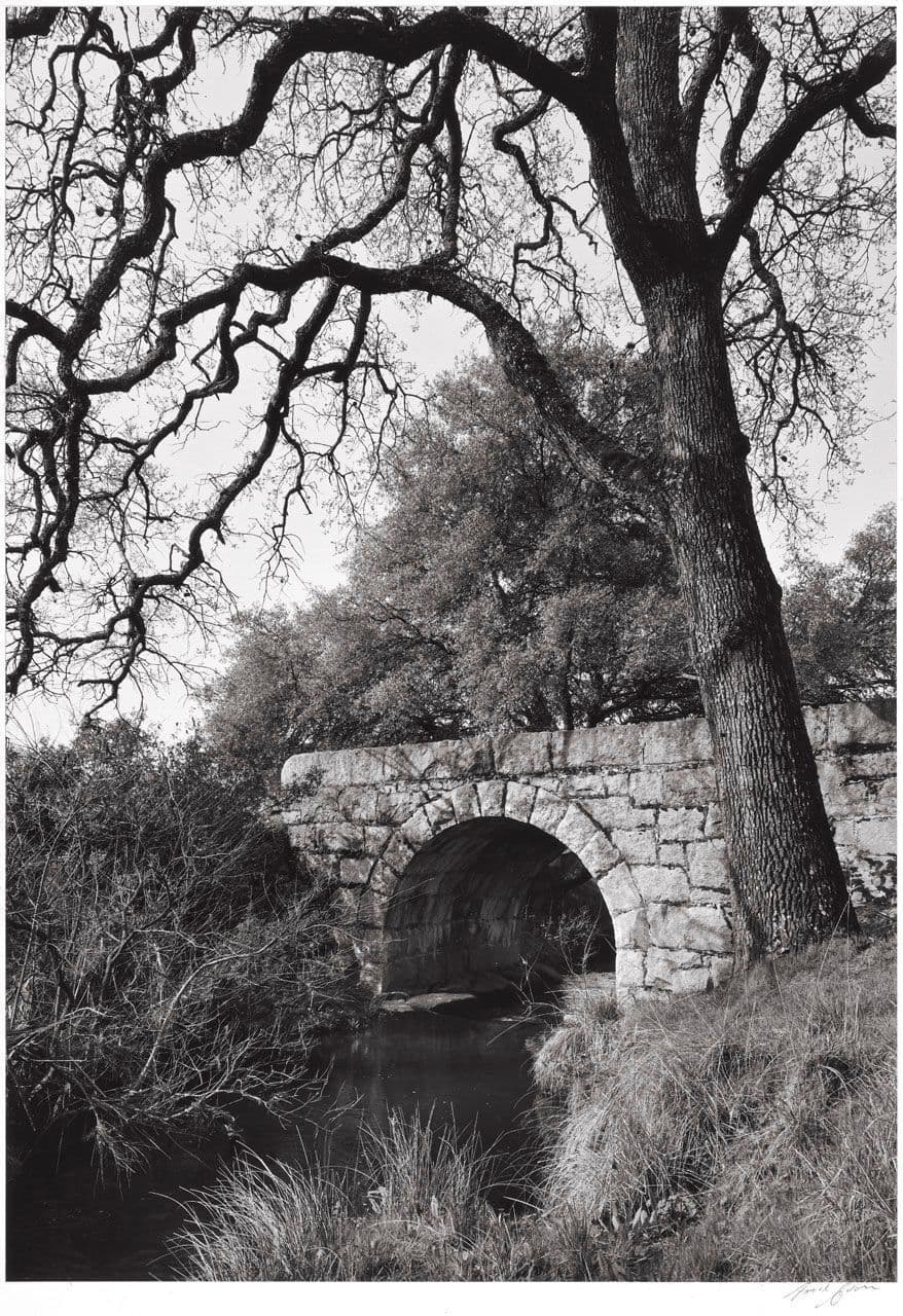 Arched Bridge—Trees
Ansel Adams
20th Century
1963.11.12 Arched Bridge—Trees