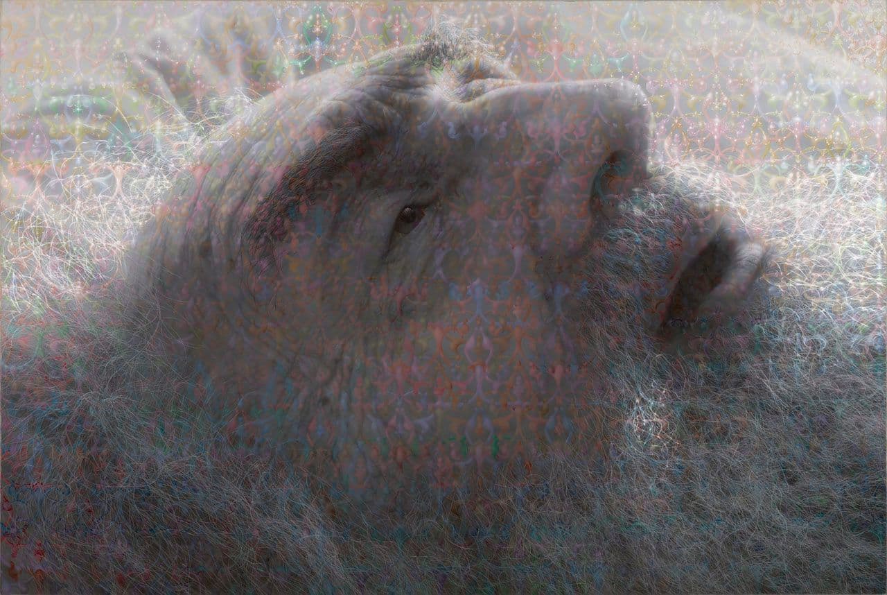Portrait of My Father
Stephen Kaltenbach
20th Century
2001.85 Portrait of My Father