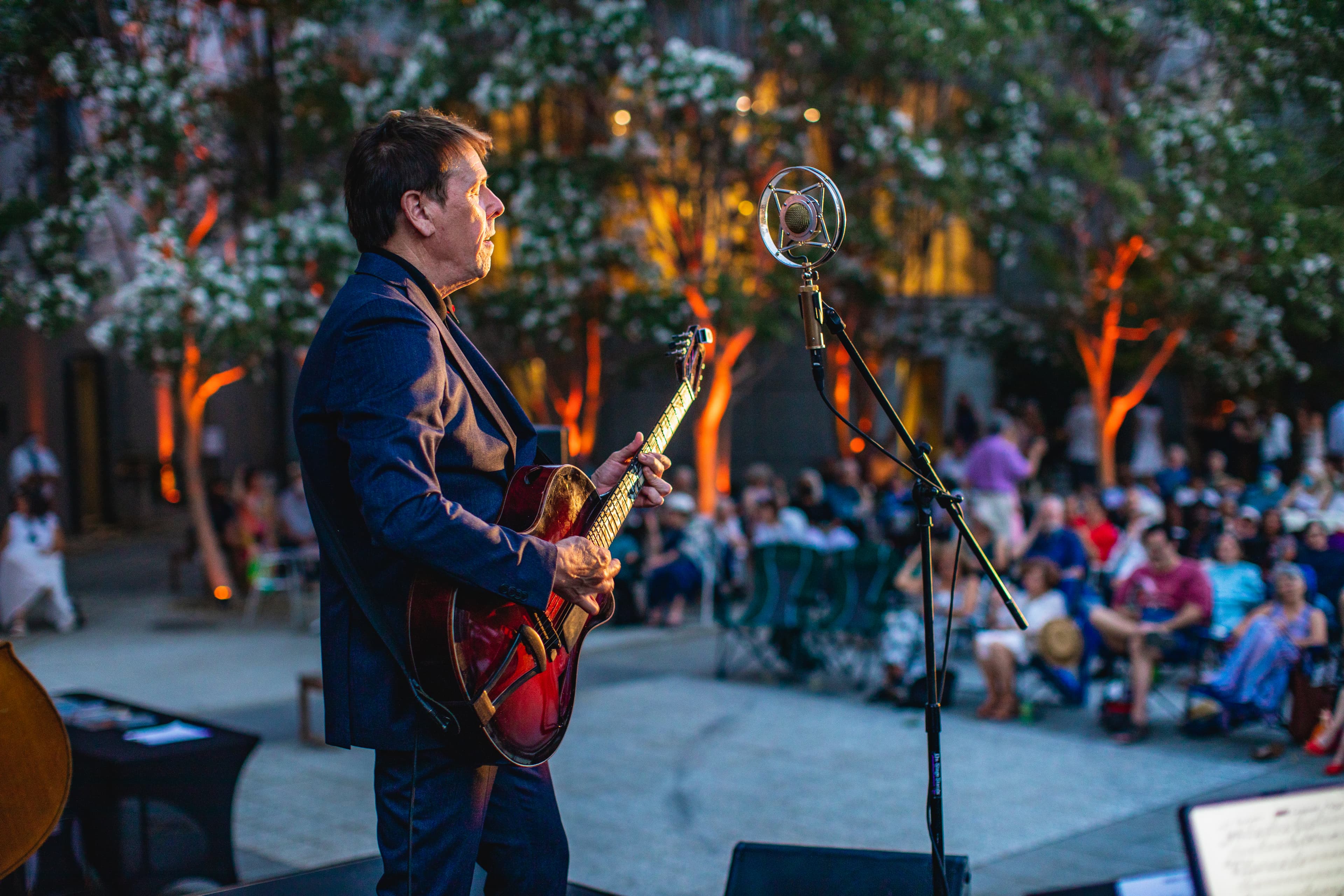 Image: Jazz Night, stage performer Image: Jazz Night, stage performer